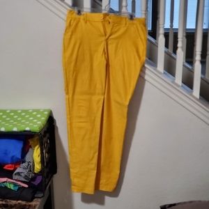 Like an Angel Gold Pants